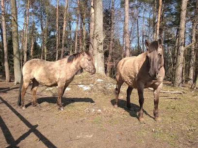 Stadnina Koni / Ośrodek Hodowli Konika Polskiego